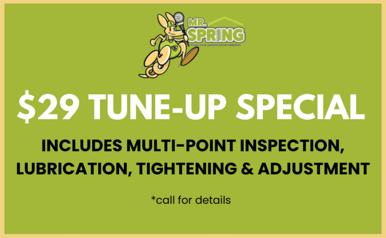 $29 Tune-Up Special (1)